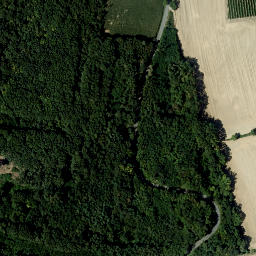 Satellite imagery of Halmesberg, AT