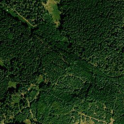 Satellite imagery of Fernmeldeturm Dirnberg, DE