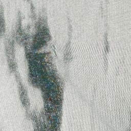 Satellite imagery of Indian Point, US