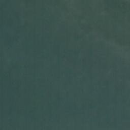 Satellite imagery of Dogfish Point, US