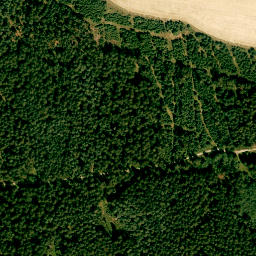 Satellite imagery of Fernmeldeturm Dirnberg, DE