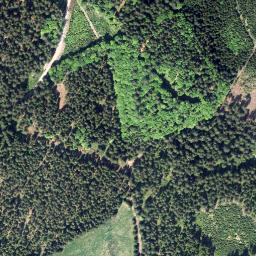 Satellite imagery of Janský vrch [Pohorská Ves-Pohoří na Šumavě], CZ