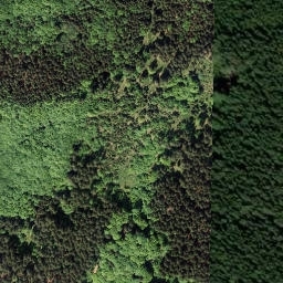 Satellite imagery of Jelení hora [Pohorská Ves-Dolní Příbraní], CZ