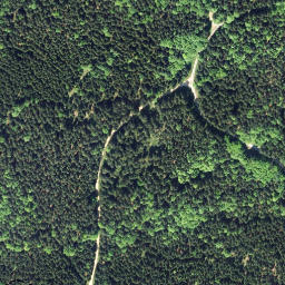 Satellite imagery of Tischberg [Bad Großpertholz], AT