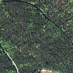 Satellite imagery of Tischberg [Bad Großpertholz], AT
