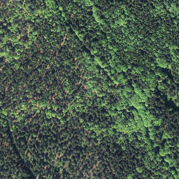 Satellite imagery of Tischberg [Bad Großpertholz], AT