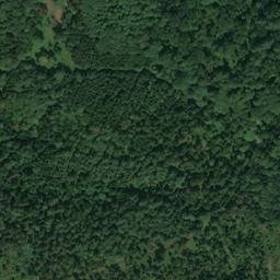 Satellite imagery of Dachsberg, DE