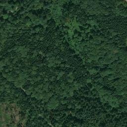 Satellite imagery of Dachsberg, DE
