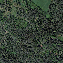 Satellite imagery of Na Čepici [Dolní Dvořiště-Cetviny], CZ