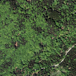 Satellite imagery of Jelení hora [Pohorská Ves-Dolní Příbraní], CZ