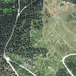 Satellite imagery of Tischberg [Bad Großpertholz], AT