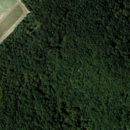 Satellite imagery of Steinschnappern, AT