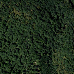 Satellite imagery of Schellenberg, AT