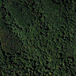 Satellite imagery of Schellenberg, AT