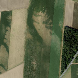 Satellite imagery of Prauz Berg, AT