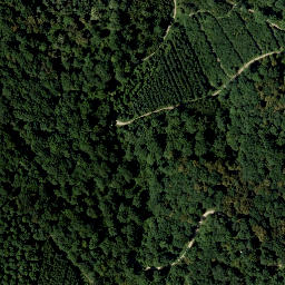 Satellite imagery of Schellenberg, AT