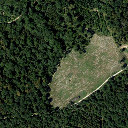Satellite imagery of Schellenberg, AT