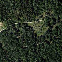 Satellite imagery of Schellenberg, AT