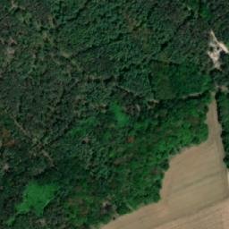 Satellite imagery of survey_point, CZ