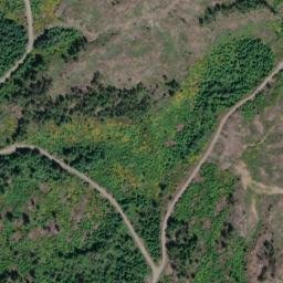 Satellite imagery of Mount Wood, CA