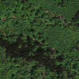 Satellite imagery of Egenfirst, DE