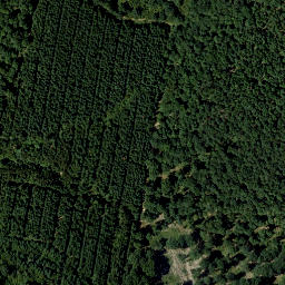 Satellite imagery of Schellenberg, AT