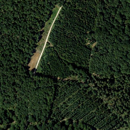 Satellite imagery of Schellenberg, AT
