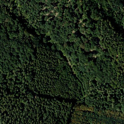 Satellite imagery of Schellenberg, AT