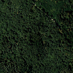 Satellite imagery of Rohrleiten, AT