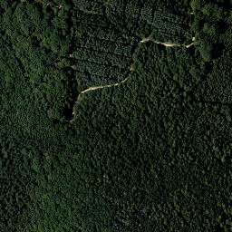 Satellite imagery of Rohrleiten, AT