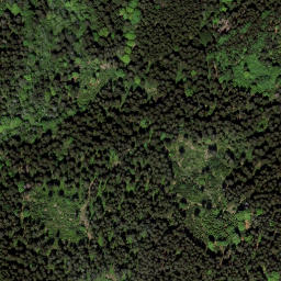 Satellite imagery of Kapličky [Loučovice-Kapličky] GSM, CZ