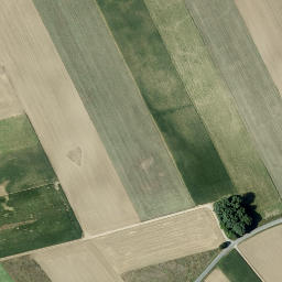 Satellite imagery of Drischberg, AT