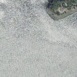 Satellite imagery of Foster Point, US