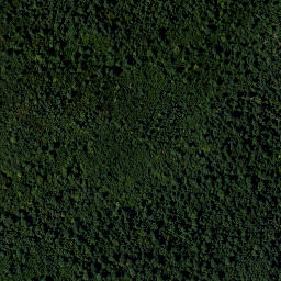 Satellite imagery of Steinberg, AT