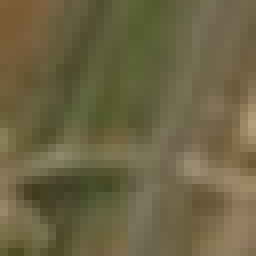 Satellite imagery of 5440501 - A, DE