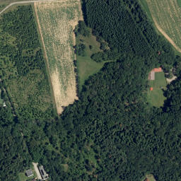 Satellite imagery of Kuhberg, AT