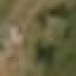 Satellite imagery of 5440501 - C, DE