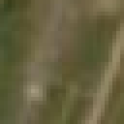 Satellite imagery of 5440501 - A, DE