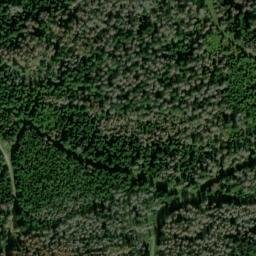 Satellite imagery of Hirschstein, DE