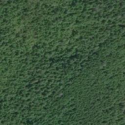 Satellite imagery of Pandora Peak, CA