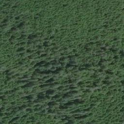 Satellite imagery of Pandora Peak, CA
