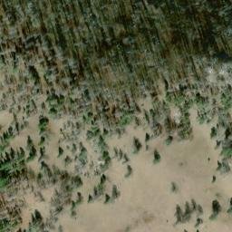 Satellite imagery of Sunny Peak Mine, US
