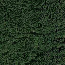 Satellite imagery of Tännleswäldle, DE