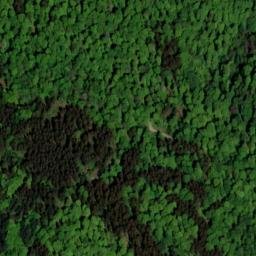 Satellite imagery of Hirscheck, DE