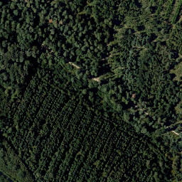 Satellite imagery of Mitterrücken, AT