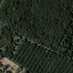 Satellite imagery of Mitterrücken, AT