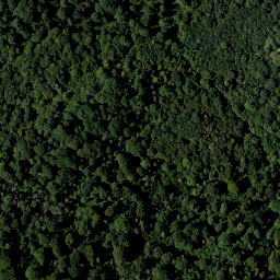 Satellite imagery of Steinmandl, AT