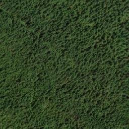 Satellite imagery of Survey Mountain, CA