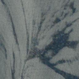 Satellite imagery of Sheppard Point, CA