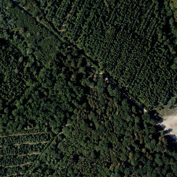 Satellite imagery of Mitterrücken, AT